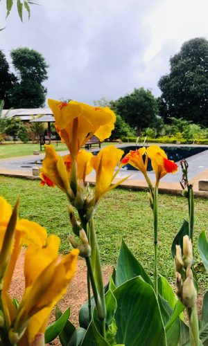 WhatsApp Image 2025-11-17 at 15.29.26 (1)