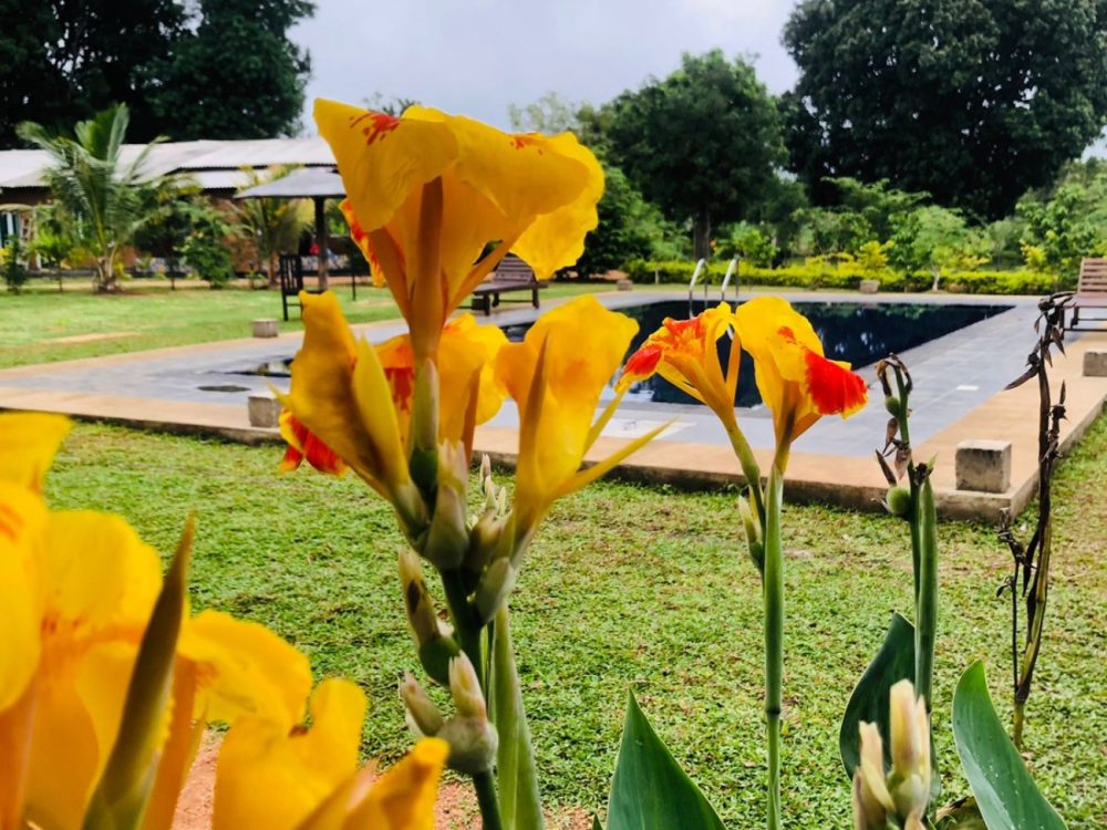 WhatsApp Image 2025-11-17 at 15.29.26 (1)