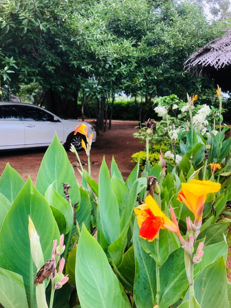 WhatsApp Image 2025-11-17 at 15.29.28