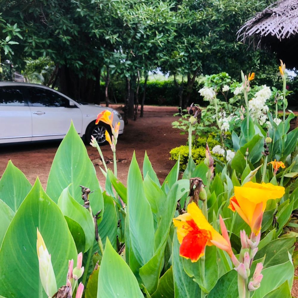 WhatsApp Image 2025-11-17 at 15.29.28