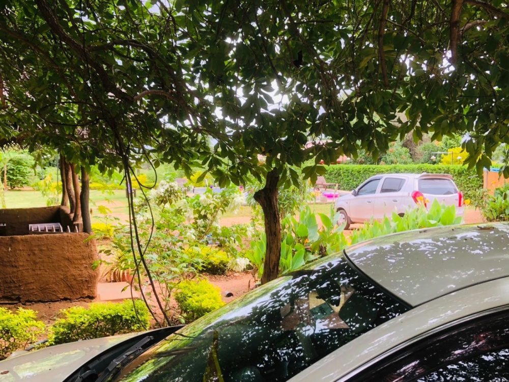 WhatsApp Image 2025-11-17 at 15.29.29 (1)