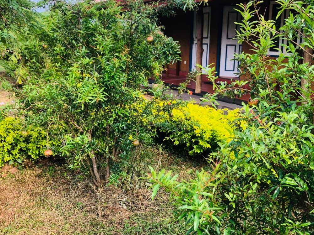 WhatsApp Image 2025-11-17 at 15.31.27 (3)