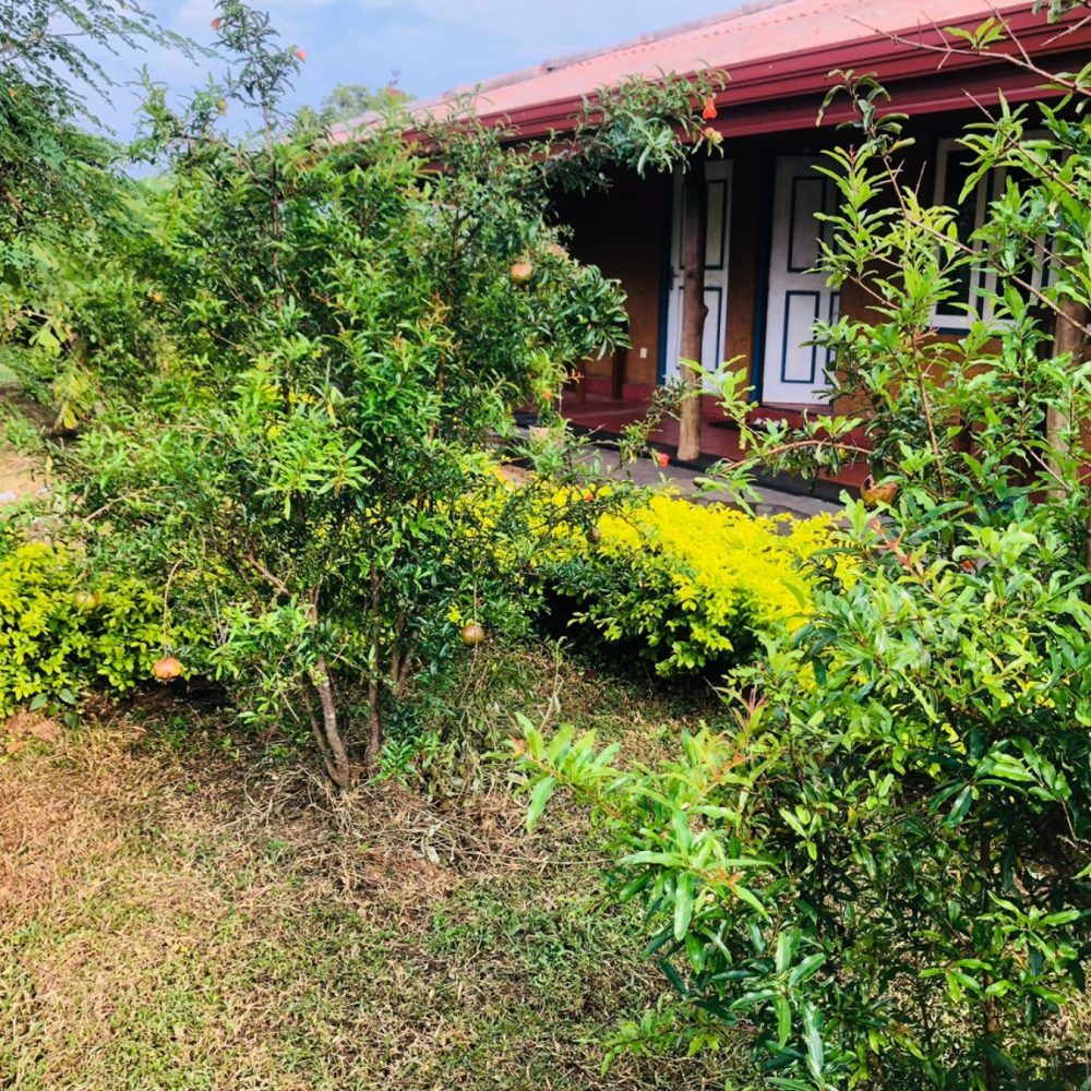 WhatsApp Image 2025-11-17 at 15.31.27 (3)