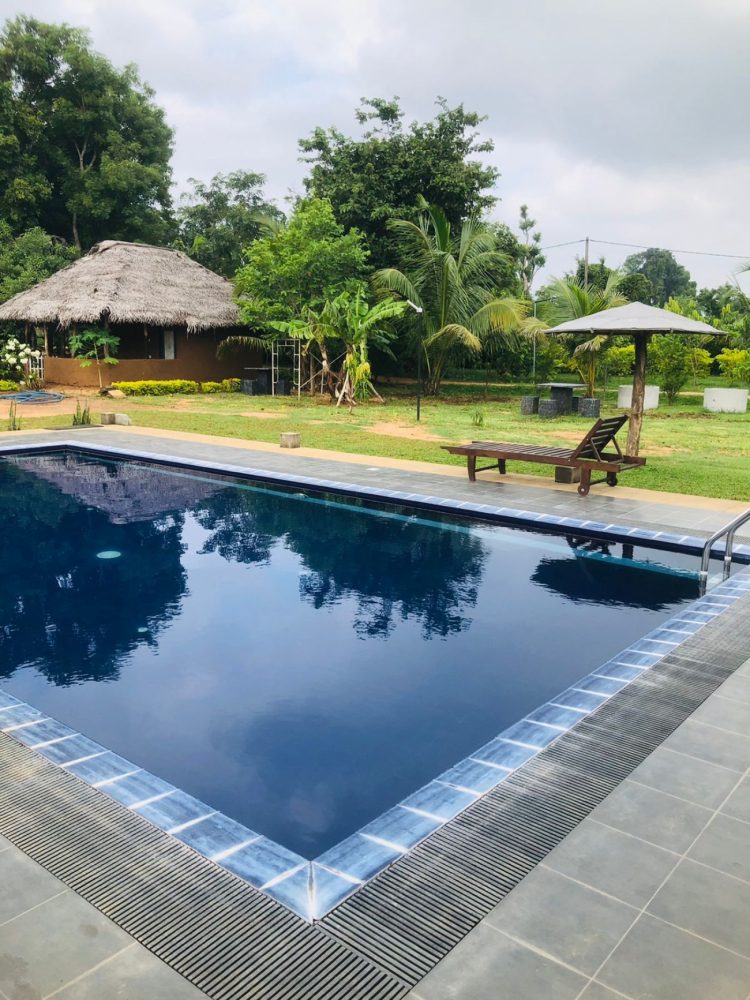 WhatsApp Image 2025-11-17 at 15.31.57