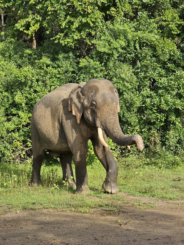 WhatsApp Image 2025-11-18 at 18.47.51 (1)