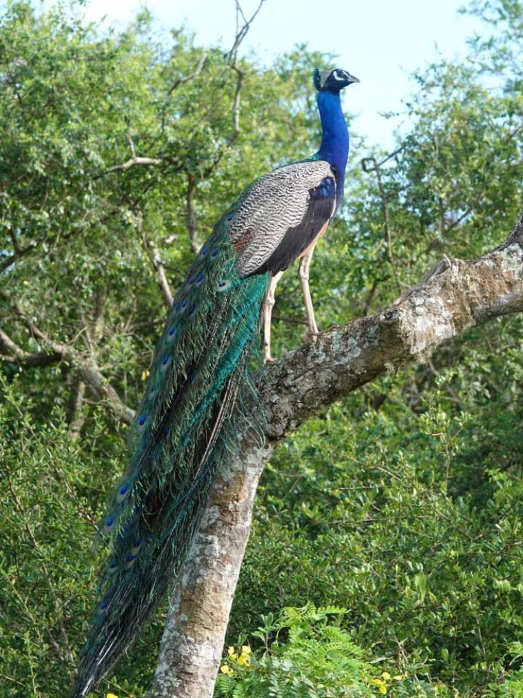 WhatsApp Image 2025-11-18 at 18.47.51 (2)